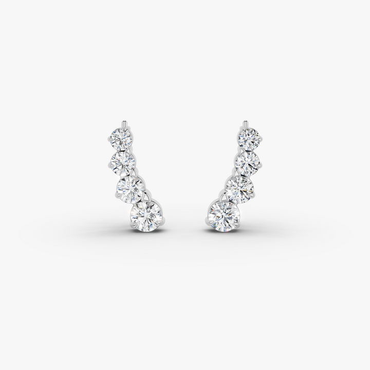 Earrings - ER0038