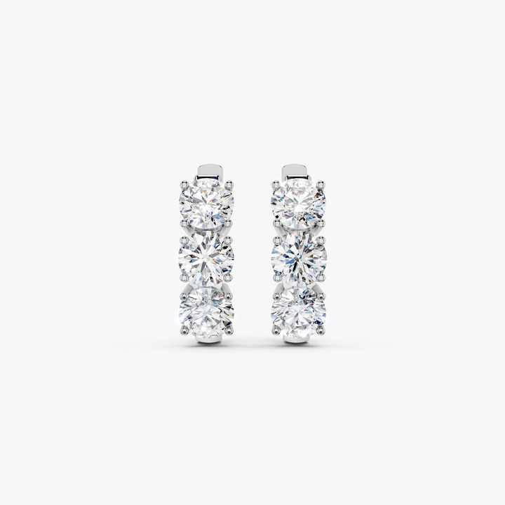 Earrings - ER00041