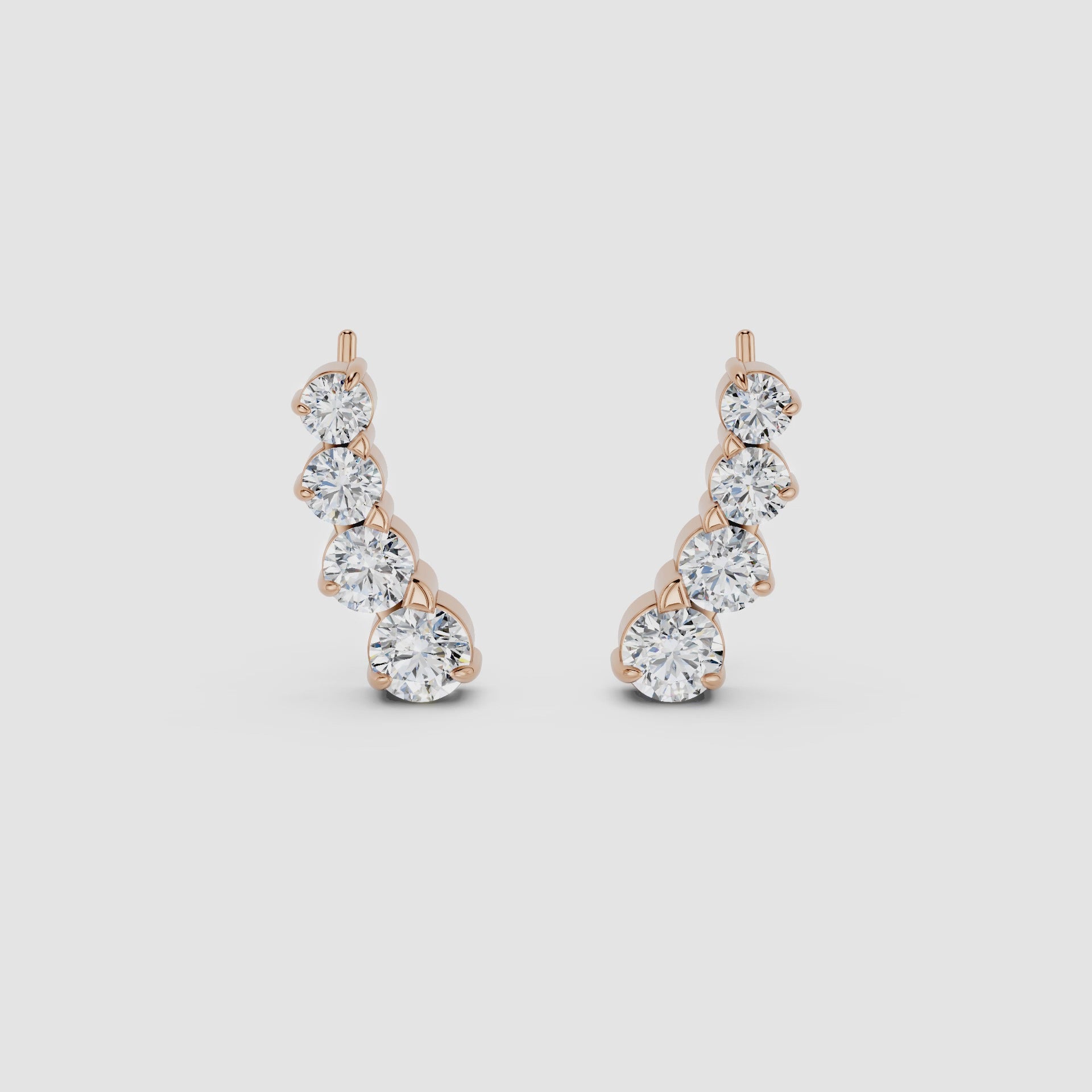 Earrings - ER0038